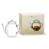 Creano Teekanne hoch 500ml