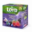 Loyd Waldfrüchte Pyramiden-Beutel 20 x 2g