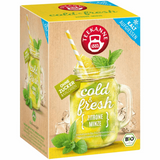 Teekanne cold & fresh Zitrone-Minze Bio 15er