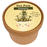 Wunderle Teepott Rosmarin Anzucht Set