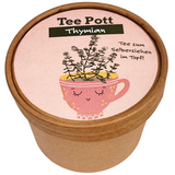 Wunderle Teepott Thymian Anzucht Set
