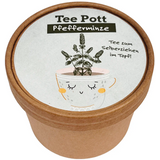 Wunderle Teepott Pfefferminze Anzucht Set