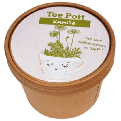 Wunderle Teepott Kamille Anzucht Set