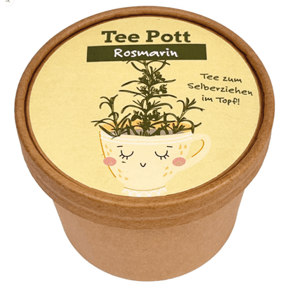 Wunderle Teepott Rosmarin Anzucht Set