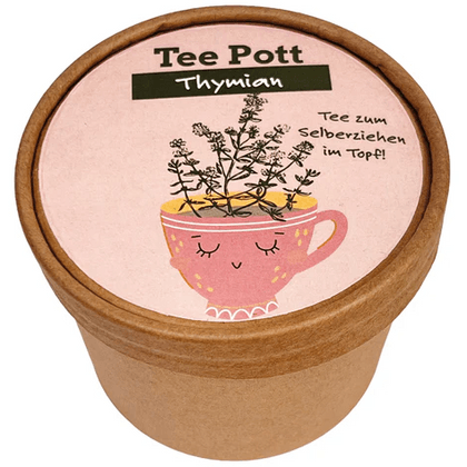 Wunderle Teepott Thymian Anzucht Set